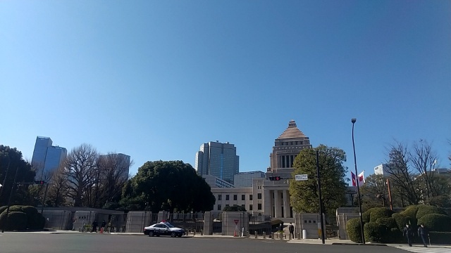 17375115450900.jpg